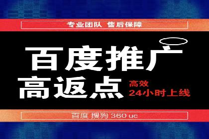 百度竞价SEM案例：揭秘高效广告投放技巧